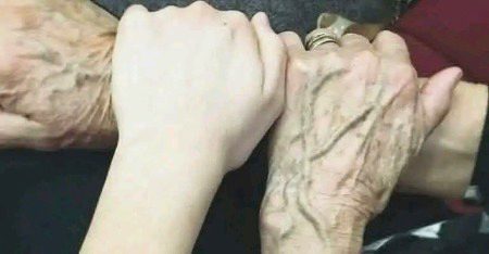 اپنی پرواز پر ضرور مان کرو، مگر ان ہاتھوں کو کبھی نہ بھولو جنہوں نے تمہیں اڑنا سکھایا ! 🫠