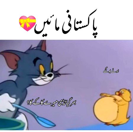 Memes & Satire image