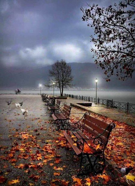 Beautiful Nature image