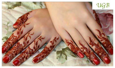 Mehndi Design image