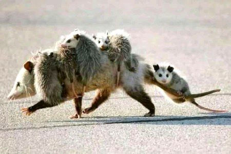 Beautiful Nature image