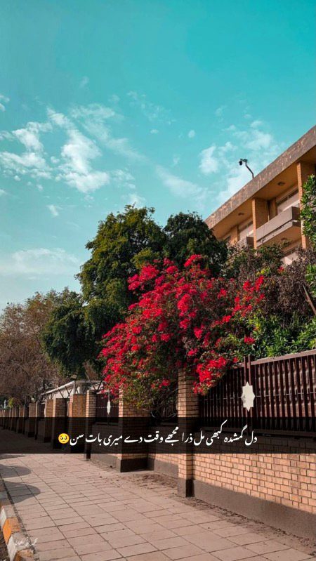 Beautiful Nature image