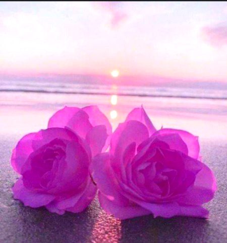 Beautiful Nature image