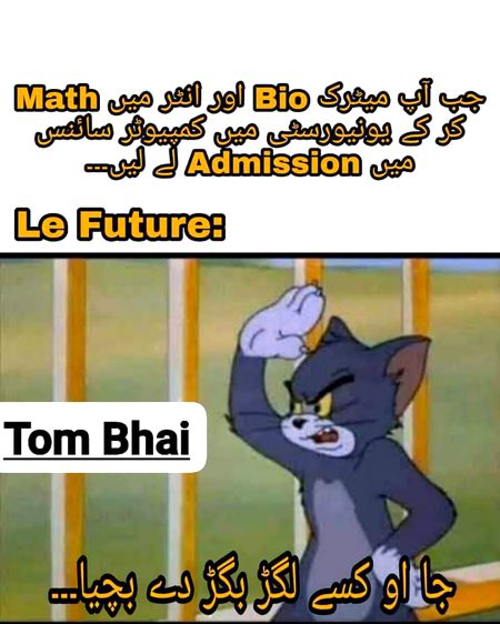 Memes & Satire image