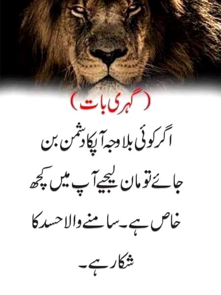Bilkul