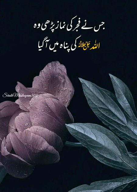 Islamic Quotes image