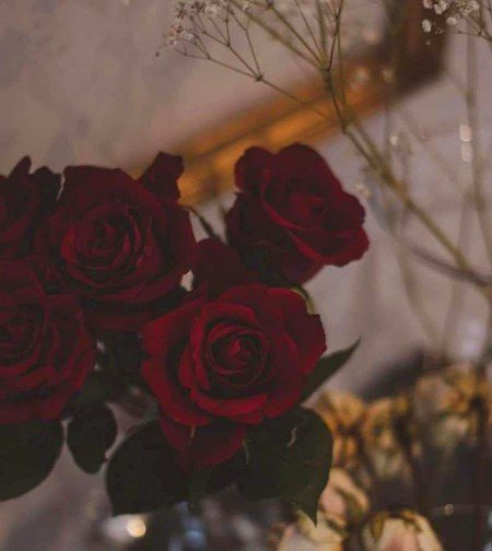 Beautiful Nature image