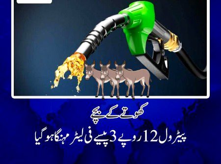 خان صاحب آپ کی تبدیلی کا اثر بطور سٹوڈنٹ مجھ پر60%پڑا ہے
پہلے کالج جاتے ہوے 100روپے کا پیٹرول ڈلوتا تھا اب
160وپے کا😡
پی ٹی آٸی والے دوستوں سے گزارش ہے اپنی عقل نو ہاتھ پاٶ