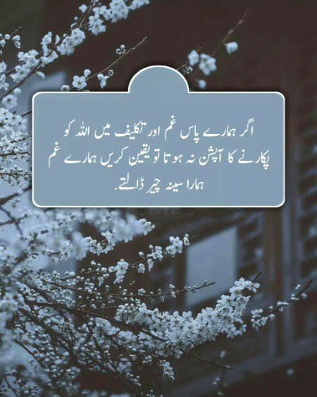 Ya GHUAM nh hoty ya to humen Allah pak apny pass bultay hein Aur woh khush naseeb hein log jinko Allah pak yaad krty hein