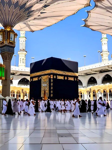 Beautiful Structures image