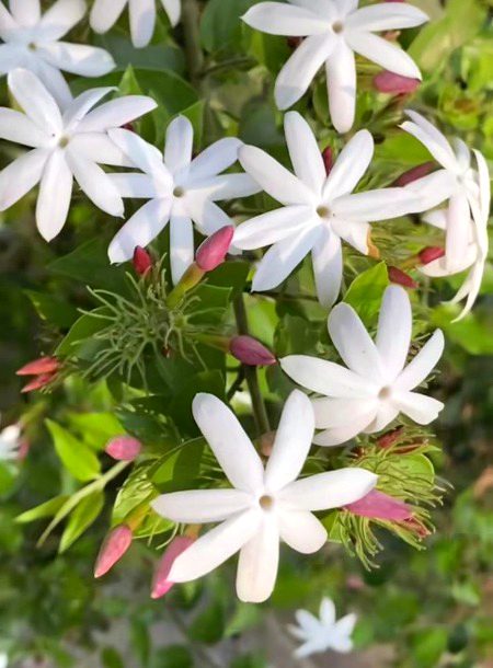 Beautiful Nature image