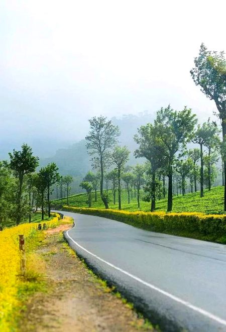 Assalam o Alaikum sbha bakhair