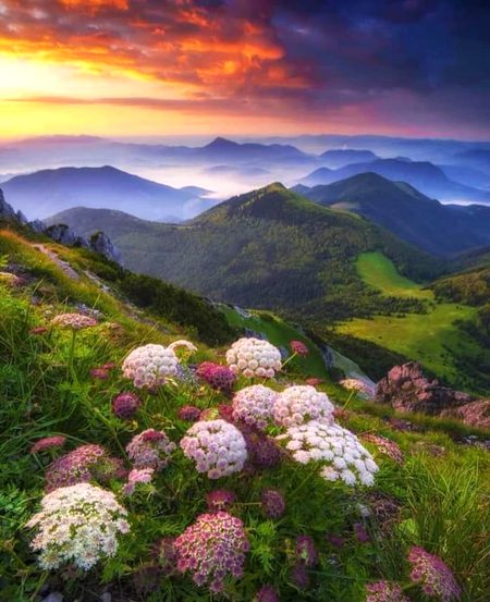 Beautiful Nature image
