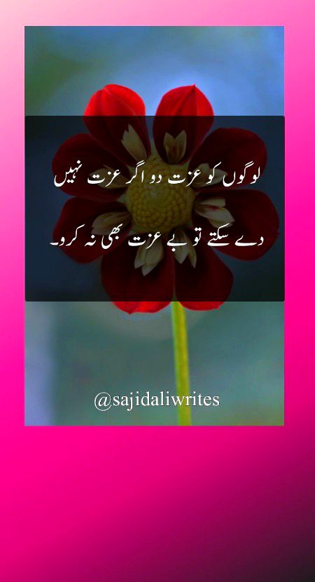 Saanaam ❣️❣️