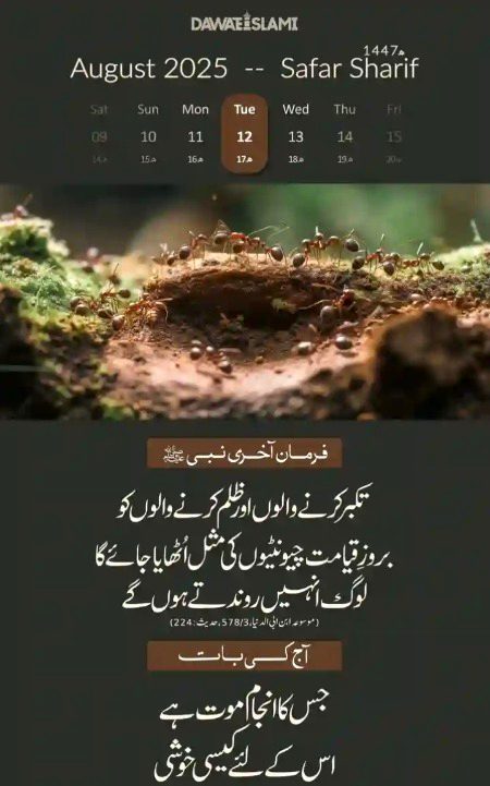 Islamic Quotes image