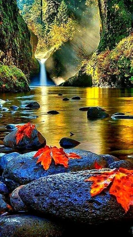 Beautiful Nature image