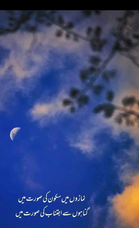 ❤💚💜❤💚💜❤💚