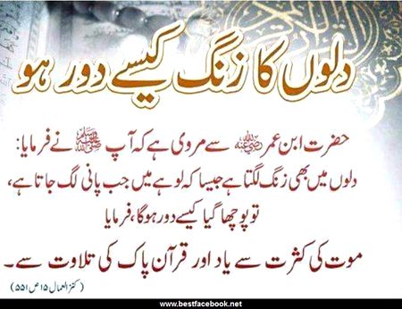 dilo ka zang kisy door ho