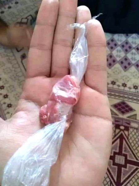 *`•°یہ حصہ ری ایکٹ نہ کرنے
 والوں کیلئے°•`*😔👀