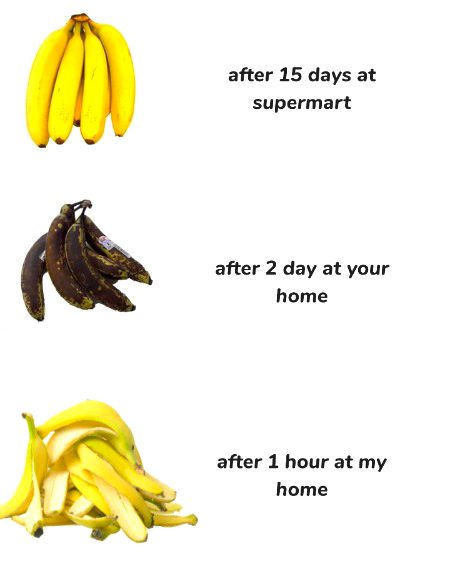 Memes & Satire image