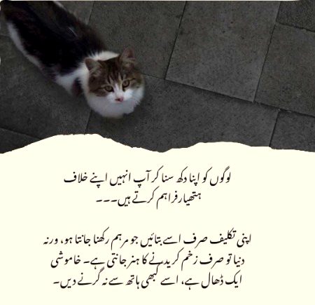 Motivational Quotes image