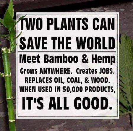 Interesting Posts image