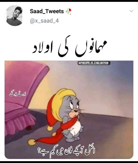 Memes & Satire image