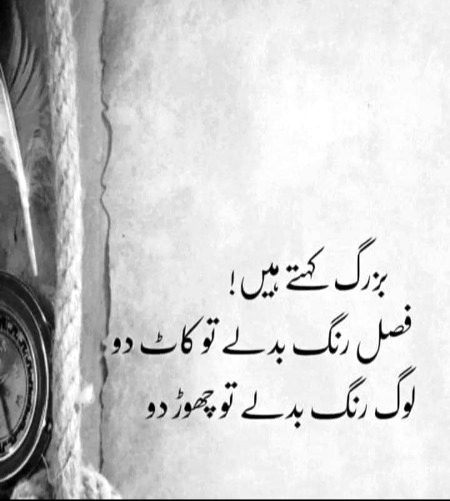 No caption
