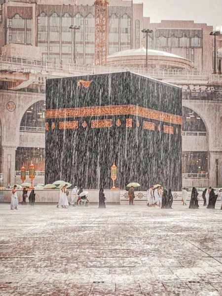 Beautiful Structures image