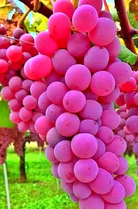 Beautiful Nature image