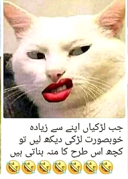 SACHI BAT HAI KARTI HO NA 🥴