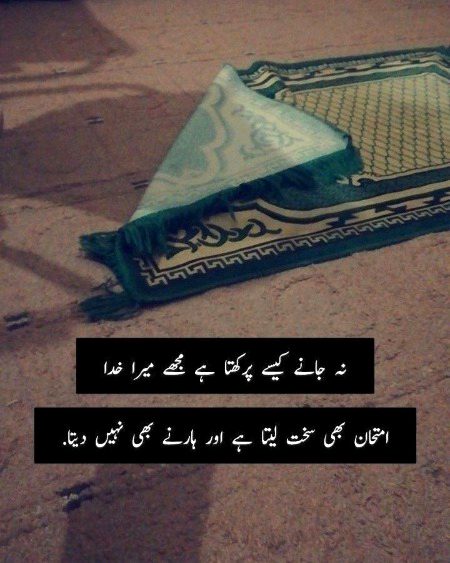 Islamic Quotes image