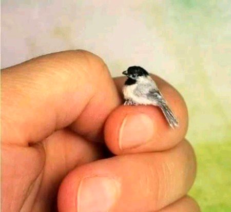 Beautiful Nature image