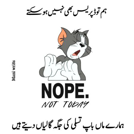 Memes & Satire image