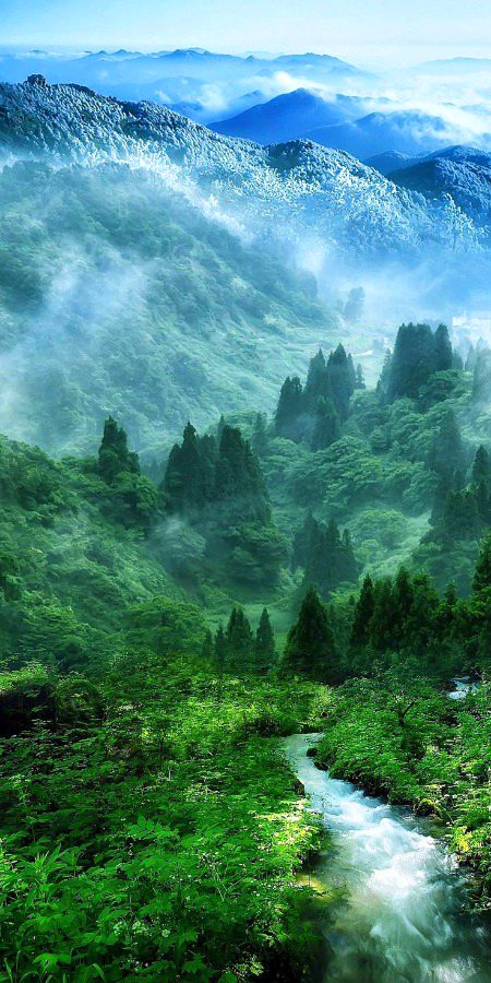 Beautiful Nature image