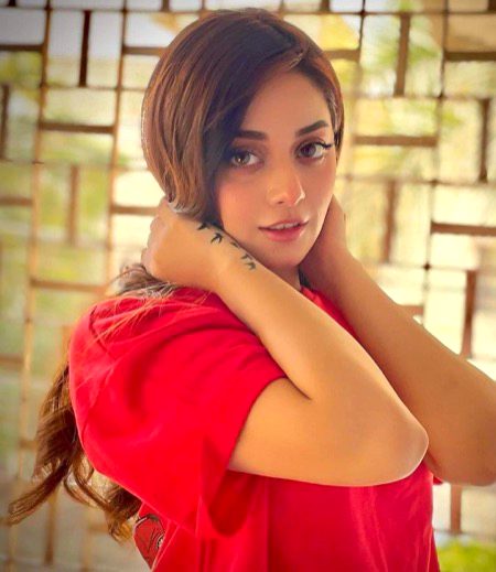 Pakistani Celebs image