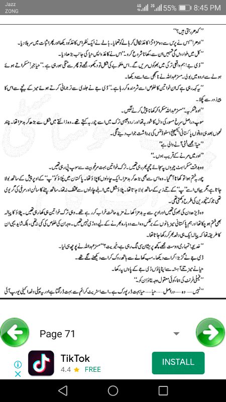 ناول جنت کے پتے