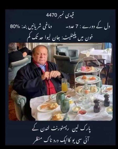 Memes & Satire image