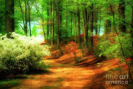 Beautiful Nature image