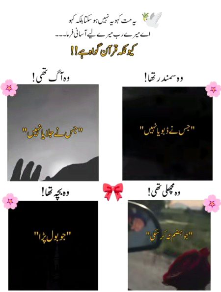Say beshak 💯.