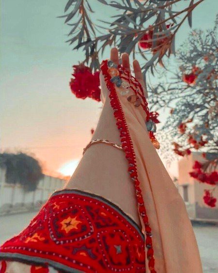 Beautiful Nature image
