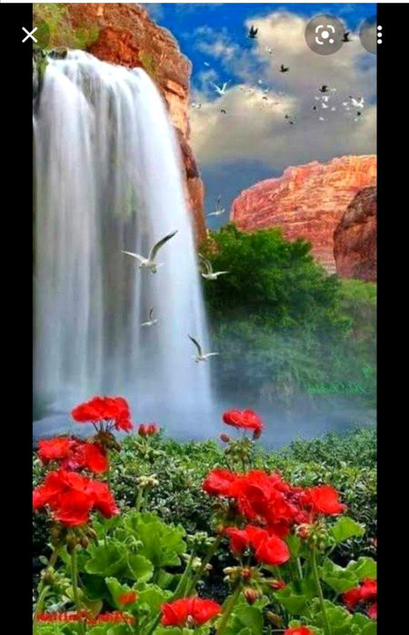 Beautiful Nature image