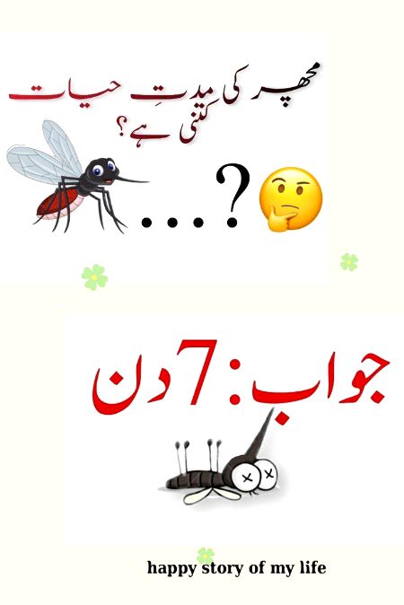 Interesting Posts image