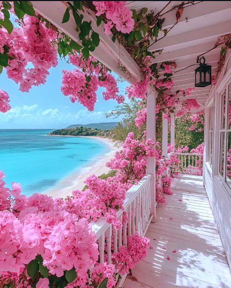 Beautiful Nature image