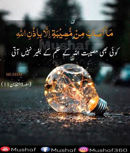 Islamic Quotes image