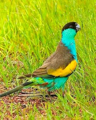 Beautiful Nature image