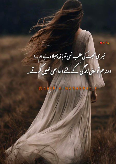 Attitude Quotes image