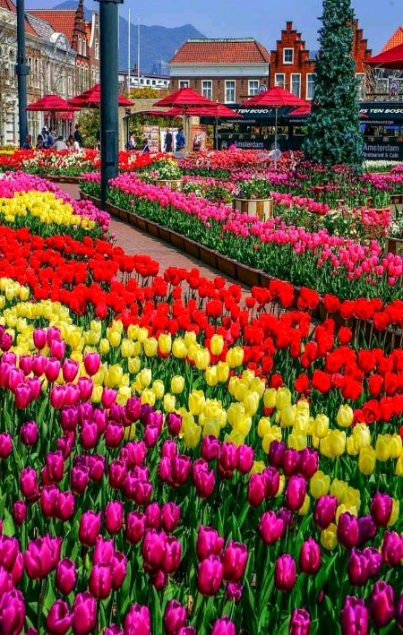 Beautiful Nature image