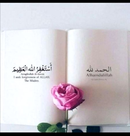 Islamic Quotes image