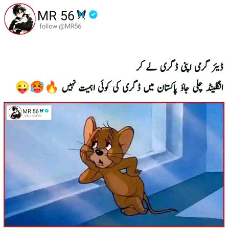 Plz grmi g